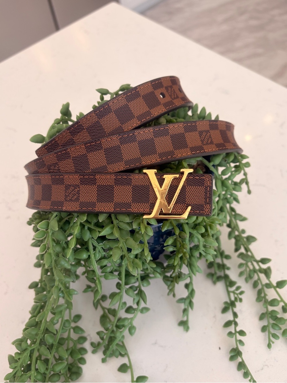 Louis Vuitton Brown Damier Canvas Belt with Gold LV Buckle